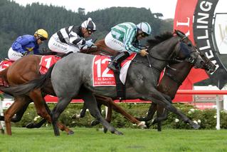 Karaka graduates dominated the Group 2 Norwood Family Wellington Guineas with a trifecta by Emily Margaret (NZ), Vigor Winner and Dawn Patrol (NZ). Photo: Trish Dunell